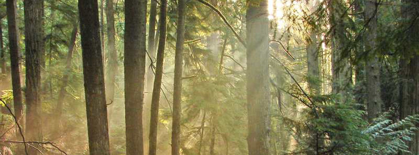 Attractive home purchase offers